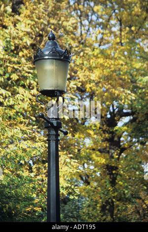 Lampost im Regents Park London UK im Herbst Stockfoto