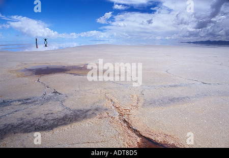 Formationen in der saline Kruste auf einem exponierten Teil des salar Ojos del Sal Salar de Uyuni Bolivien Südamerika Stockfoto