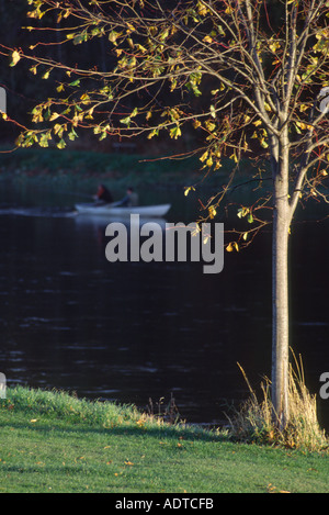 Lachsangeln auf den Tweed Kelso Schottland Junction Pool Stockfoto