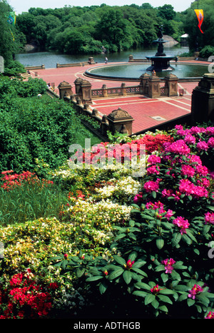 Central Park New York. Bethesda Fountain and Terrace im Frühjahr New York City. Central Park Conservancy auf der Upper East Side Manhattan. Stockfoto