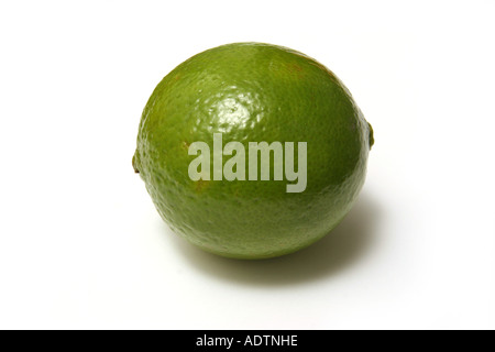 Kalk auf einen weißen Studio-Hintergrund. Stockfoto