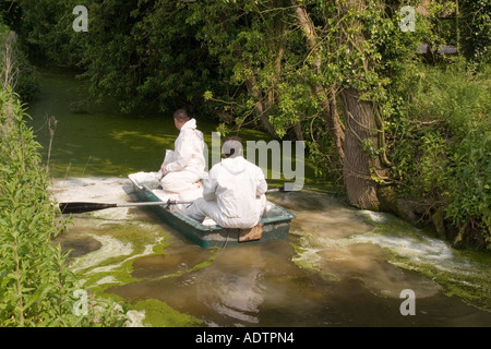 Verbreitung von ultra fein granulierte Kreide beginnt der Prozess der Neutralisierung und Belüftung des Teichs Stockfoto