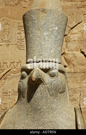 Ein Falke Granit Statue des Horus in der Säulenhalle in Edfu Tempel Gott Horus, während der Ptolemäerzeit 237-57 BCE, Ägypten gebaut Falcon Stockfoto