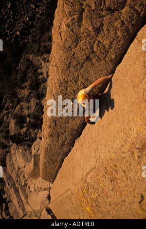 Männliche Kletterer aufsteigend eine steile Strecke auf Devil es Tower in Wyoming, USA Stockfoto