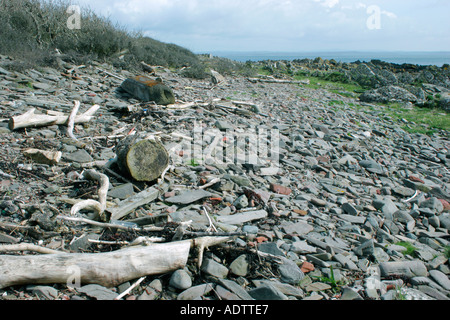 Treibholz am steinigen Ufer an der Solway Küste in der Nähe von Garlieston Dumfries and Galloway, Schottland Stockfoto