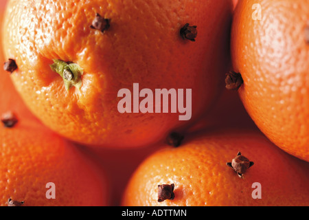 Ganze Orangen gespickt mit Nelken, Nahaufnahme füllen Rahmen Stockfoto