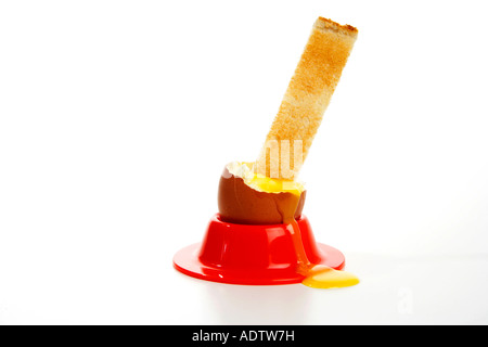 Ein gekochtes Ei in hellen roten Ei Becherhalter mit Toast Soldat in oberen Teil Ei vor weißem Hintergrund kleben. Stockfoto