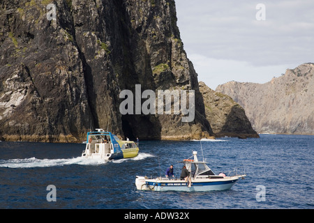 Angeln Boot und beobachten die Touristen auf der gelben Wim mit Kreuzfahrt die Delphine' Boot am Piercy Loch im Felsen Motukokako Insel Bucht der Inseln Neuseeland Stockfoto