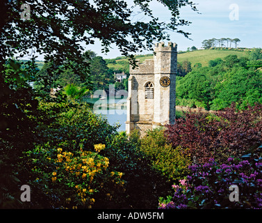 GB CORNWALL ST NUR IN ROSELAND Stockfoto