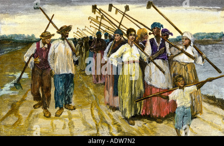 African American slaves Rückkehr aus den Feldern in der Dämmerung auf einer Zuckerrohrplantage 1800. Hand - farbige Holzschnitt Stockfoto