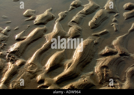 Größe South Devon UK Sandstrand Rinnsale verursacht durch Wasser im sand Stockfoto