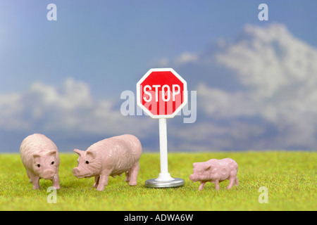 symbolisches Bild Embargo auf Importe für Schweine MKS weniger Schweine Stockfoto