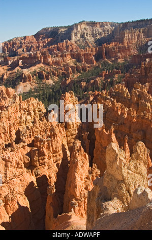 Bryce Canyon National Park in Utah Stockfoto