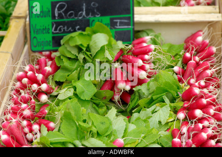 Schachtel mit Raddish auf einem Marktstand Stockfoto