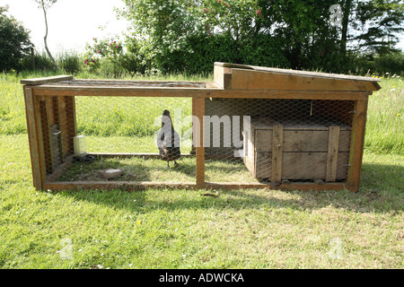 Ein Huhn-Stall auf der Wiese, Hampshire, England. Stockfoto