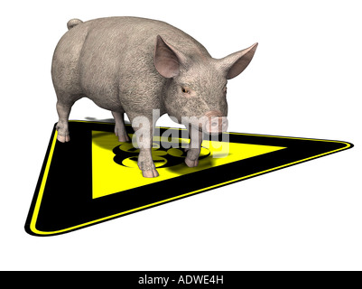 symbolisches Bild für Epidemie Pest auf Schweine Stockfoto