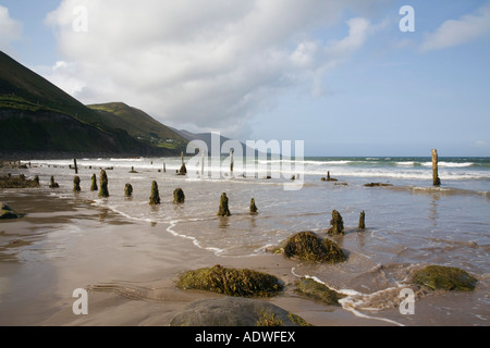 Holzpfosten auf nassen Sand am leeren Strand von Ross Strand westlich von Ross Behy auf "Ring of Kerry" Rossbeigh Co Kerry Irland Stockfoto