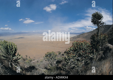 Ngorongoro-Krater in der Trockenzeit vom südlichen Rand des Kraters Tansania Ostafrika gesehen Stockfoto