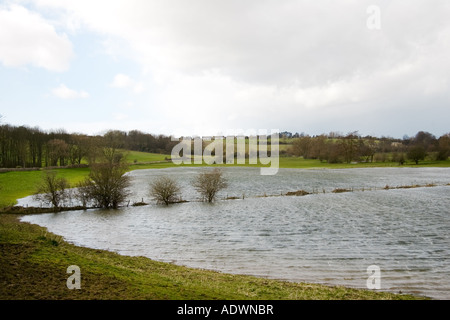 Überfluteten Watermeadows im Überschwemmungsgebiet Burford Oxfordshire Cotswold England Großbritannien Stockfoto