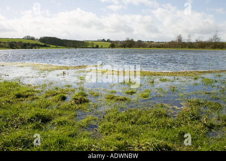 Überfluteten Watermeadows im Überschwemmungsgebiet in der Nähe von Burford Oxfordshire Cotswold England Großbritannien Stockfoto