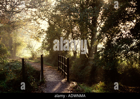 Wales Cardiff Cyncoed Brücke über den Bach in den frühen Morgenstunden Stockfoto