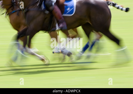 Polospiel in Hampshire-England-Großbritannien Stockfoto