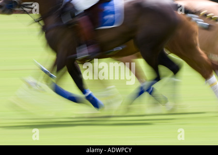 Polospiel in Hampshire-England-Großbritannien Stockfoto