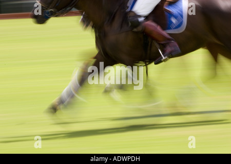 Polospiel in Hampshire-England-Großbritannien Stockfoto