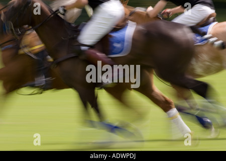 Polospiel in Hampshire-England-Großbritannien Stockfoto