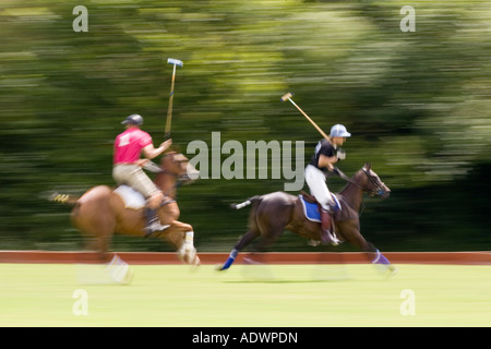 Polospiel in Hampshire-England-Großbritannien Stockfoto