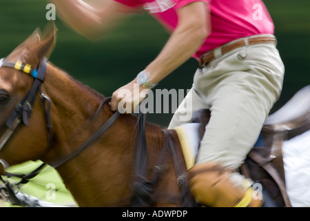 Polospiel in Hampshire-England-Großbritannien Stockfoto