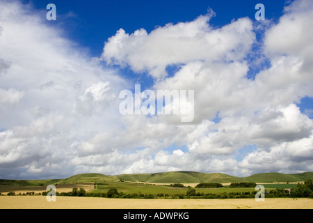 Felder in die Marlborough Downs Wiltshire England Großbritannien Stockfoto