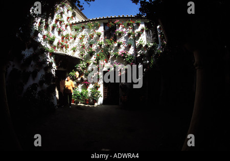 Cordoba Festival de Terrassen Stockfoto