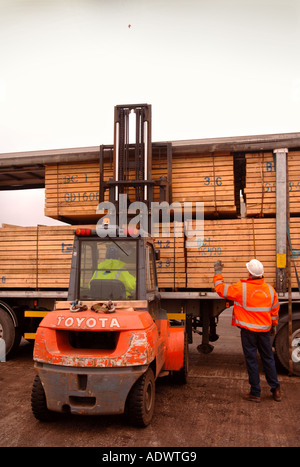 EINE GABELSTAPLER HEBT HOLZ AUF EINES SATTELSCHLEPPERS AUF DAS DOCKSIDE EINEN HAFEN IN NEWPORT SOUTH WALES UK Stockfoto