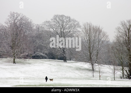 Frau Spaziergänge Hund über Schnee bedeckt Hampstead Heath North London England Vereinigtes Königreich Stockfoto