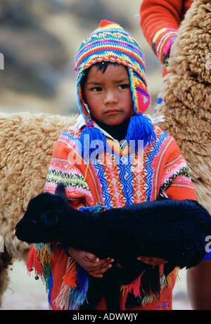 Peruanische Junge trägt schwarze Lamm Peru Südamerika Stockfoto