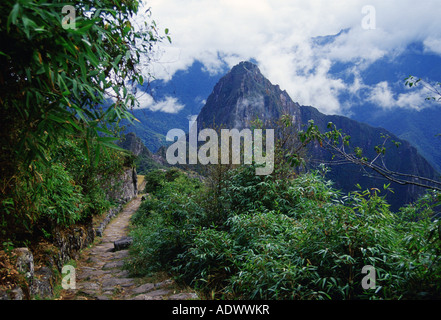 Inka-Trail nach Machu Picchu Ruinen der Inka-Zitadelle in Peru Südamerika Stockfoto