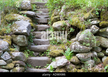 Treppe zum verlassenen Gehöft Stockfoto