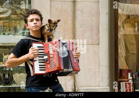 Straßenmusik junger Mann spielt Akkordeon, mit kleiner Hund auf seiner Schulter, die Tipps zu sammeln. Lissabon, Portugal. Stockfoto