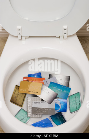 WC-Schüssel mit Kreditkarten Stockfoto