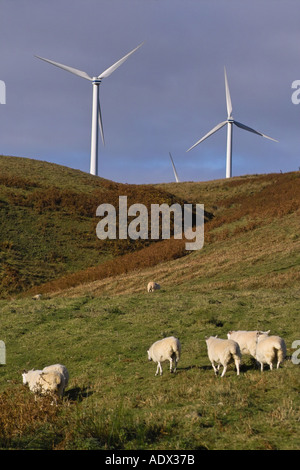 Dun Gesetz Wind Farm Soutra Hill Schottland mit Schafen Stockfoto