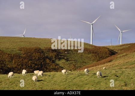 Dun Gesetz Wind Farm Soutra Hill Schottland mit Schafen Stockfoto