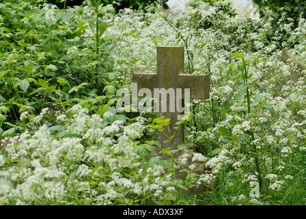 Grabsteine auf überwucherten Friedhof bei St. Sepulchre, Oxford. Stockfoto