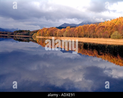 HERBSTLICHE AUSSICHT AUF BEN LOMOND LOCH LOMOND Stockfoto