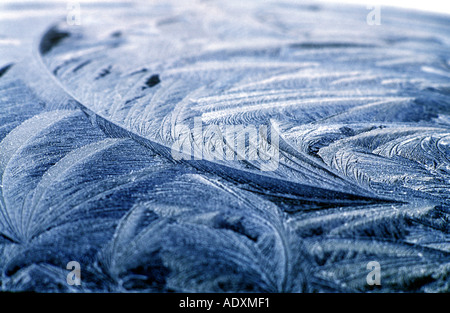 Eisblumen auf einem Autodach im Vereinigten Königreich Stockfoto