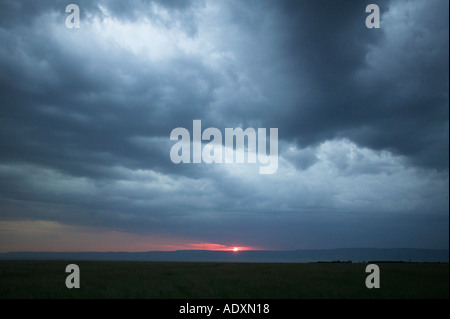 Ein Sturm zieht auf bei Sonnenuntergang über die Masai Mara Wildreservat in Kenia in Ostafrika Stockfoto