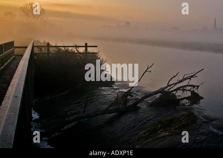 Misty Morning Stockfoto