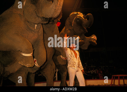 Mexikaner Person Mann männlich Tiertrainer mit Elefanten im Zirkus in Puerto Vallarta Jalisco Staat Mexiko Stockfoto