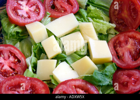 Griechisches Essen frischen mediterranen Salat Nahaufnahme Detail Stockfoto