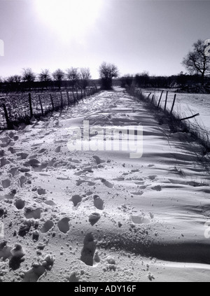 Verschneiten Pfad Stockfoto